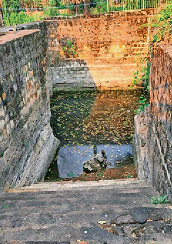 naidunia_image